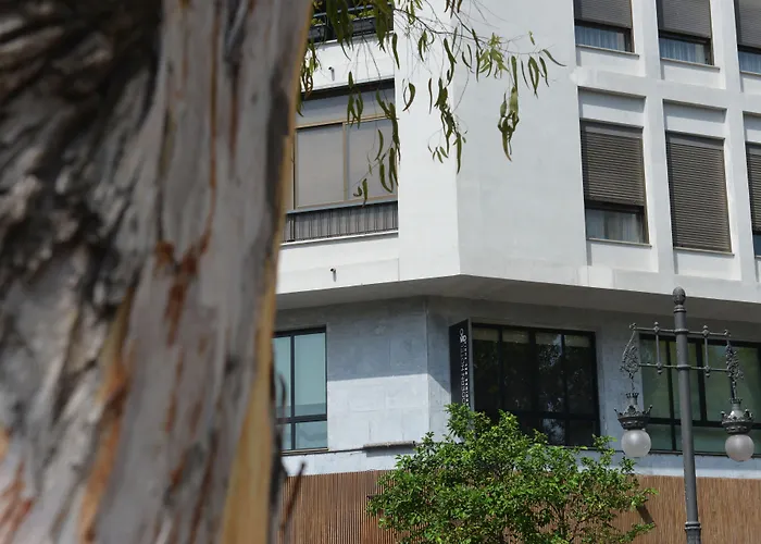 Md Modern Hotel - Jardines